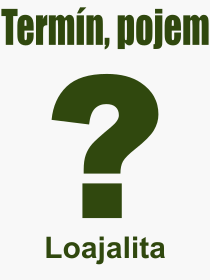Co je to Loajalita? Význam slova, termín, Odborný výraz, definice slova Loajalita. Co znamená slovo Loajalita z kategorie Filozofie?