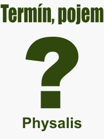 Co je to Physalis? Vznam slova, termn, Vraz, termn, definice slova Physalis. Co znamen odborn pojem Physalis z kategorie Rostliny?