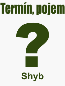 Co je to Shyb? Vznam slova, termn, Vraz, termn, definice slova Shyb. Co znamen odborn pojem Shyb z kategorie Sport?