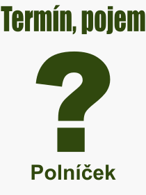 Co je to Polníček? Význam slova, termín, Definice výrazu Polníček. Co znamená odborný pojem Polníček z kategorie Rostliny?