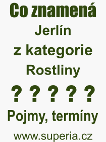 Pojem, výraz, heslo, co je to Jerlín? 