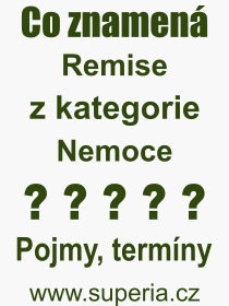 Pojem, výraz, heslo, co je to Remise? 