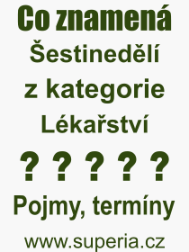 Pojem, v�raz, heslo, co je to �estined�l�? 