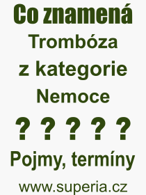 Pojem, výraz, heslo, co je to Trombóza? 