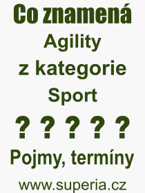 Co je to Agility? Význam slova, termín, Výraz, termín, definice slova Agility. Co znamená odborný pojem Agility z kategorie Sport?