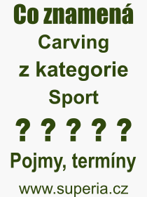 Co je to Carving? Význam slova, termín, Odborný výraz, definice slova Carving. Co znamená slovo Carving z kategorie Sport?