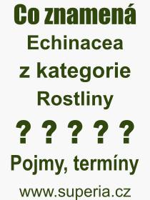 Pojem, vraz, heslo, co je to Echinacea? 