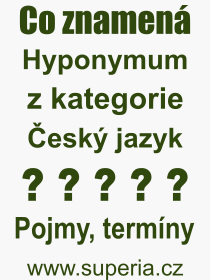 Pojem, výraz, heslo, co je to Hyponymum? 