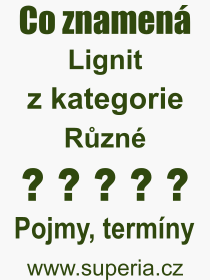 Co je to Lignit? V�znam slova, term�n, Odborn� v�raz, definice slova Lignit. Co znamen� slovo Lignit z kategorie R�zn�?