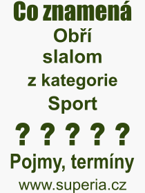 Co je to Obří slalom? Význam slova, termín, Odborný výraz, definice slova Obří slalom. Co znamená slovo Obří slalom z kategorie Sport?