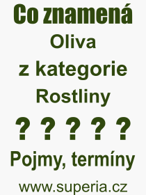 Co je to Oliva? Význam slova, termín, Definice výrazu Oliva. Co znamená odborný pojem Oliva z kategorie Rostliny?