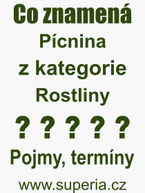 Co je to Pcnina? Vznam slova, termn, Odborn vraz, definice slova Pcnina. Co znamen pojem Pcnina z kategorie Rostliny?