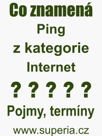 Pojem, výraz, heslo, co je to Ping? 