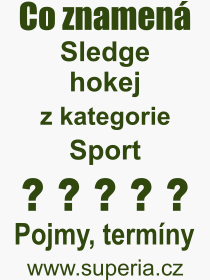 Co je to Sledge hokej? Význam slova, termín, Definice výrazu Sledge hokej. Co znamená odborný pojem Sledge hokej z kategorie Sport?