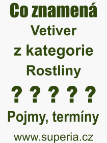 Co je to Vetiver? Vznam slova, termn, Definice vrazu, termnu Vetiver. Co znamen odborn pojem Vetiver z kategorie Rostliny?