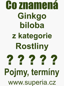 Pojem, v�raz, heslo, co je to Ginkgo biloba? 