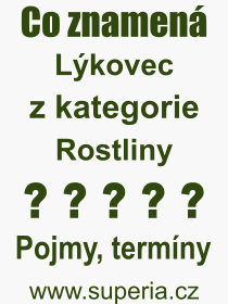 Co je to Lkovec? Vznam slova, termn, Definice vrazu, termnu Lkovec. Co znamen odborn pojem Lkovec z kategorie Rostliny?