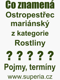 Pojem, v�raz, heslo, co je to Ostropest�ec mari�nsk�? 
