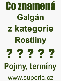 Co je to Galgán? Význam slova, termín, Odborný termín, výraz, slovo Galgán. Co znamená pojem Galgán z kategorie Rostliny?