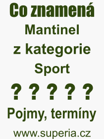 Co je to Mantinel? Význam slova, termín, Výraz, termín, definice slova Mantinel. Co znamená odborný pojem Mantinel z kategorie Sport?