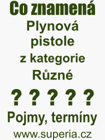 Co je to Plynov� pistole? V�znam slova, term�n, Odborn� term�n, v�raz, slovo Plynov� pistole. Co znamen� pojem Plynov� pistole z kategorie R�zn�?