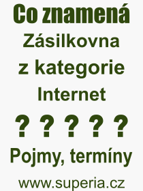 Co je to Zsilkovna? Vznam slova, termn, Definice vrazu Zsilkovna. Co znamen odborn pojem Zsilkovna z kategorie Internet?